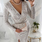 🎅Weihnachtsverkauf 50% Rabatt🎄Sexy Paillettenkleid im Bodycon-Stil✨